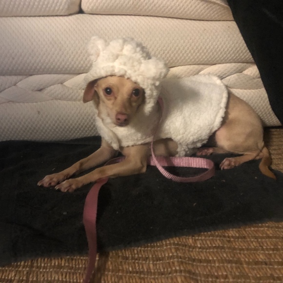 Meet your Posher, A - Picture 1 of 1